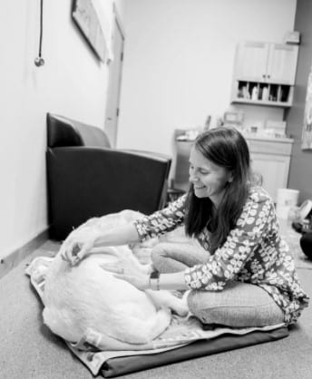 Vet Jessica Rychel
