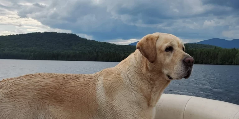 Hunter