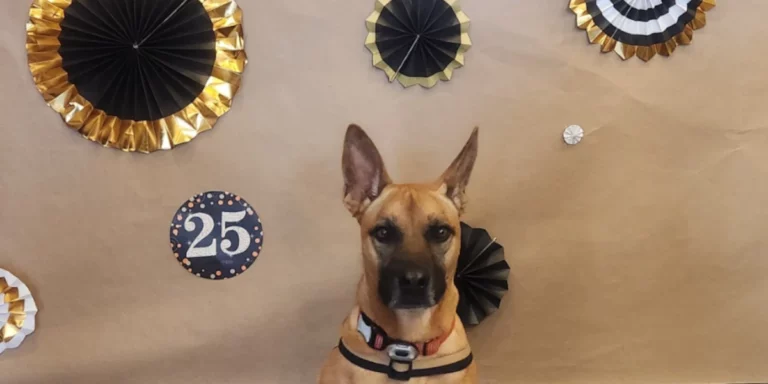 Maverick