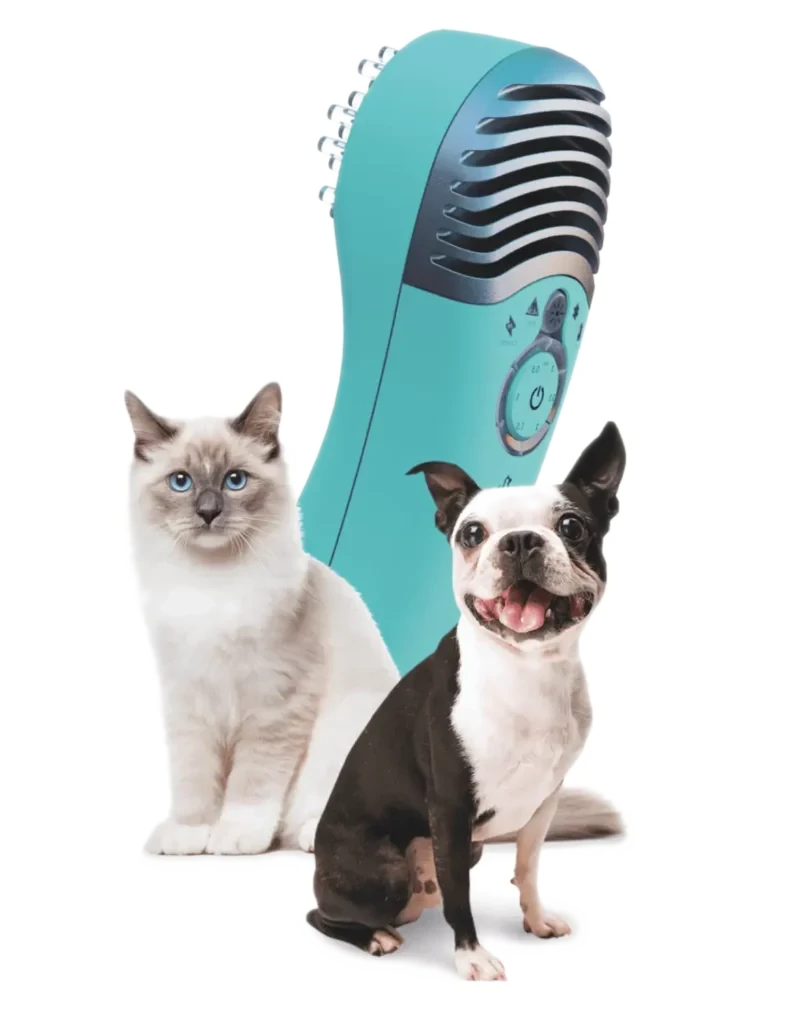 dog cat and Luma