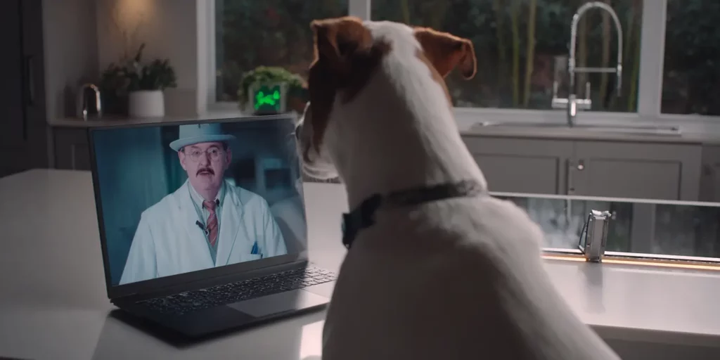 Consulting with a vet over zoom