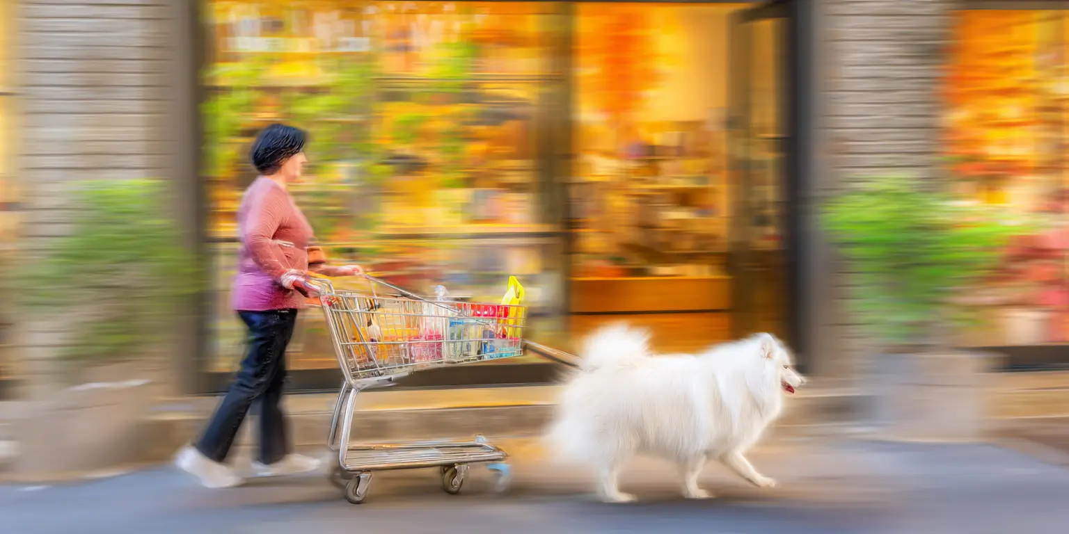 Woman shopping with a big white dog