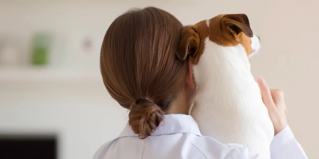 Rear view of woman with dog