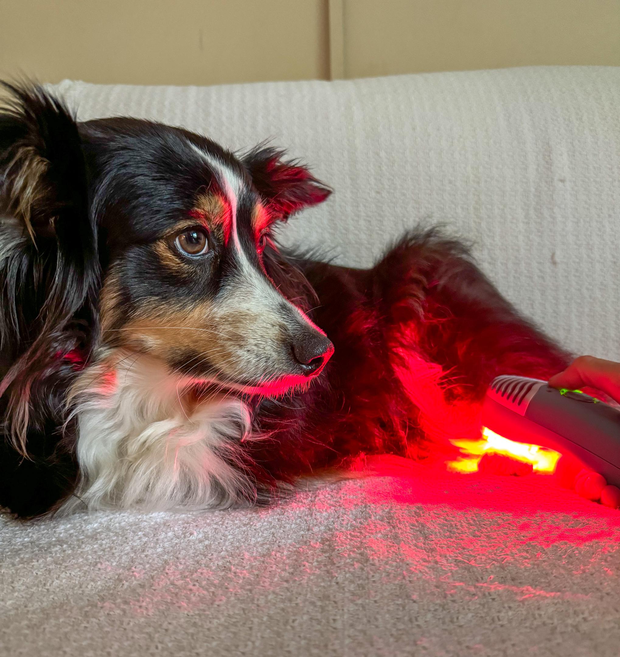 When red light therapy works best for pain