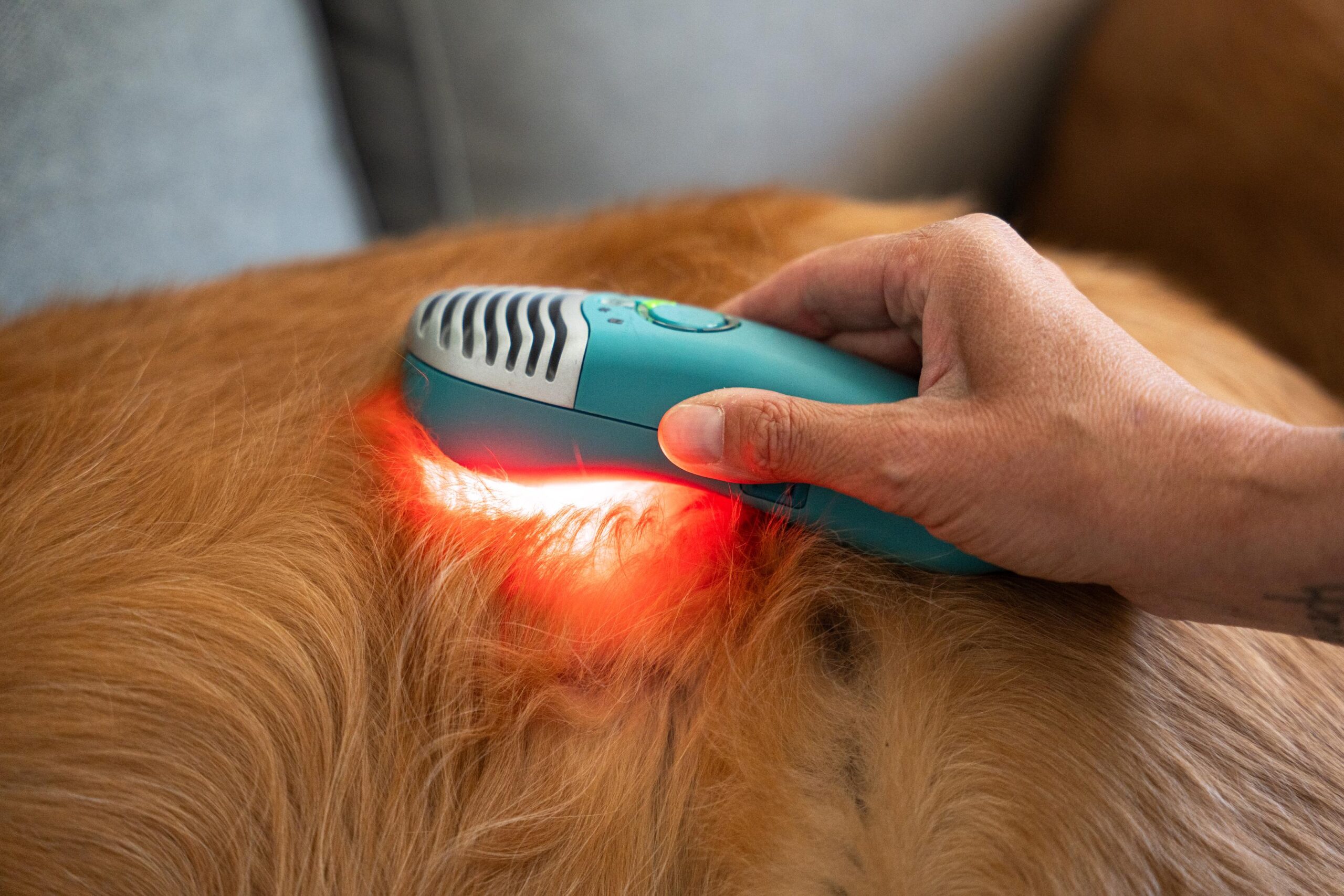How Red Light Therapy Supports ACL Surgery Recovery