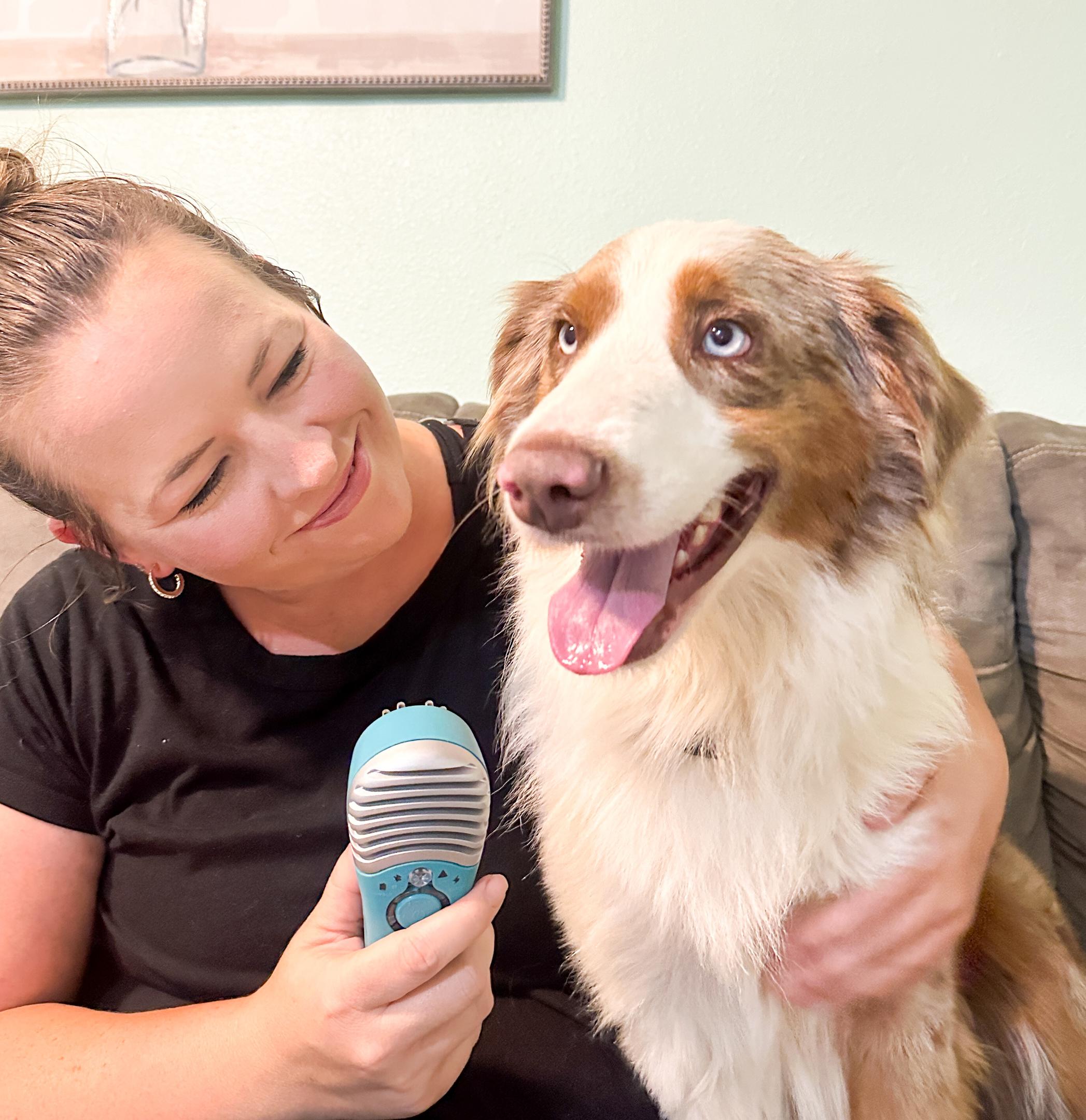 How red light therapy supports dog CCL surgery recovery
